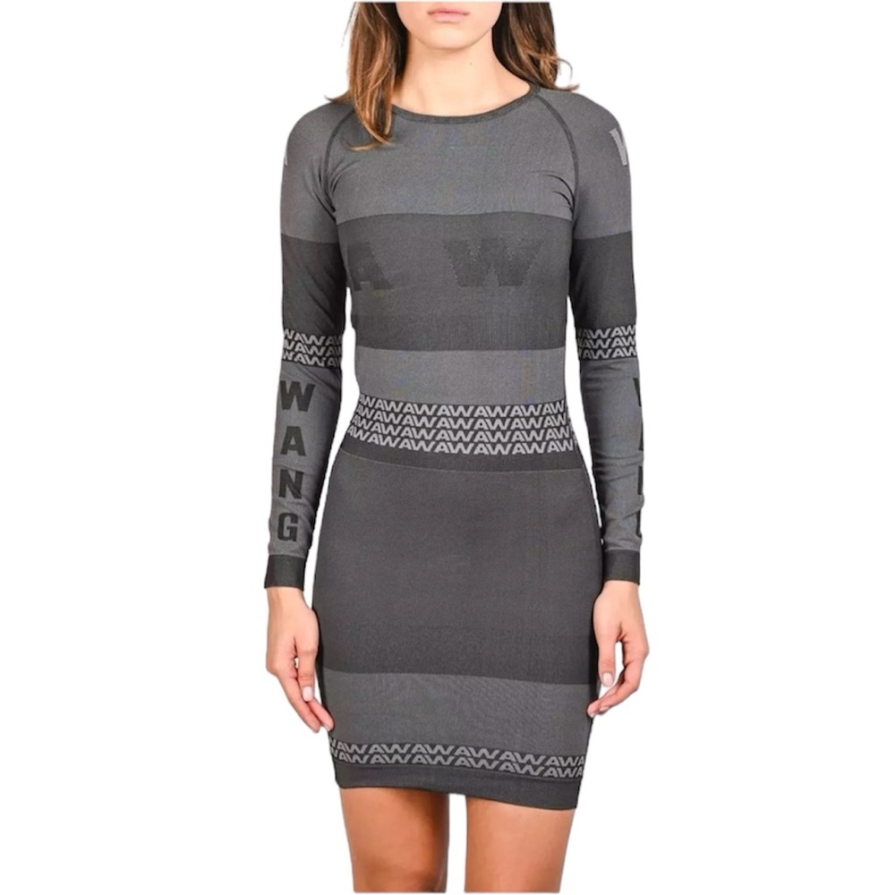 NWOT Alexander Wang x H&M Long Sleeve Dress